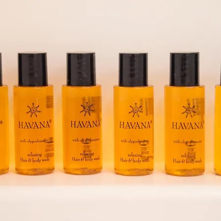 Old Praga Garden 바르샤바